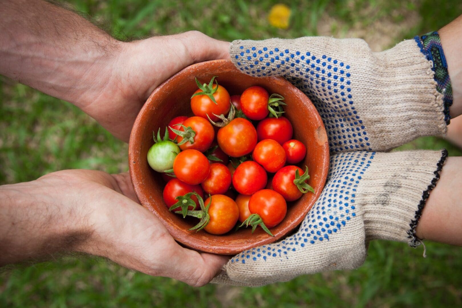 closeup shot of a bowl of small tomatoes