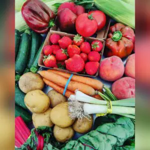 Organic farm grown fruits and vegetables