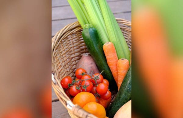 closeup shot of a basket of fresh vegetables