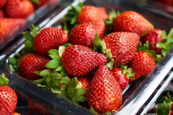 closeup shot of a box of fresh strawberries