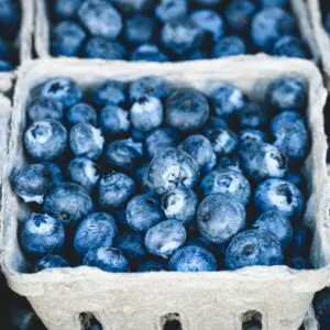 closeup shot of blueberry boxes