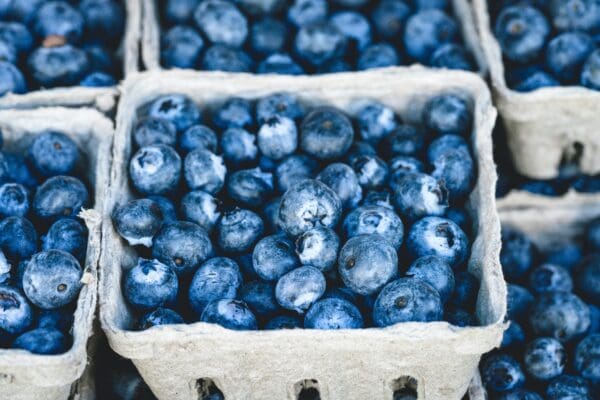 closeup shot of blueberry boxes